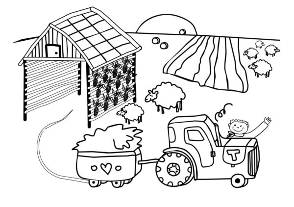 Radostný traktorista přináší zvířatům seno omalovánka