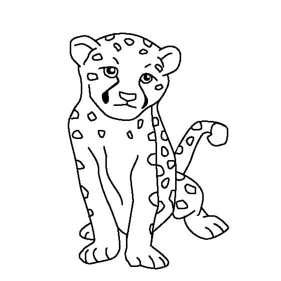 Rozkošné a přesto dravé mládě geparda omalovánka
