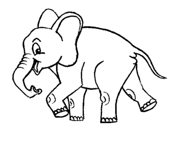 Rychle běžící slon omalovánka