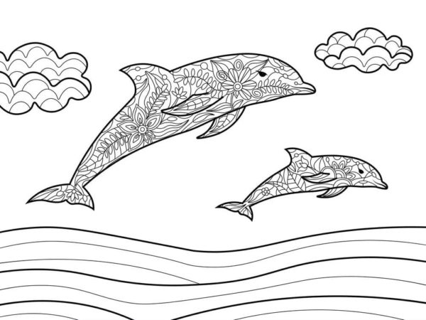 Rychlí delfíni plavou k cíli. omalovánka