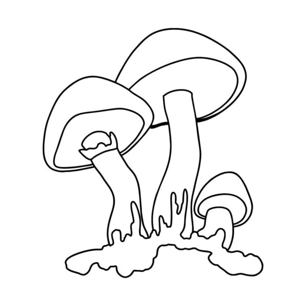 Omalovánka Silná houba rostoucí v březových a osikových lesích.