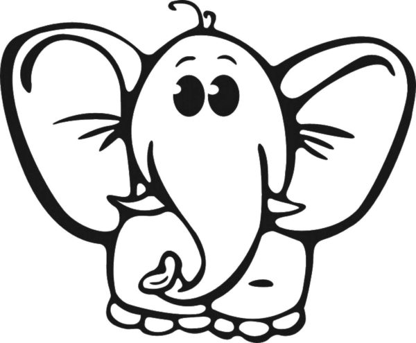 Slon s velkýma ušima omalovánka