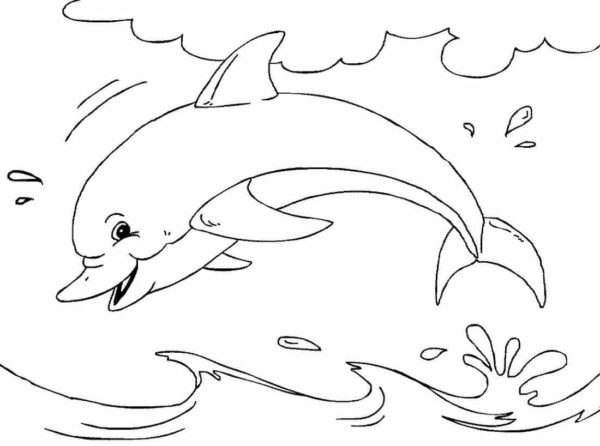 Sprej na skákání delfínů. omalovánka