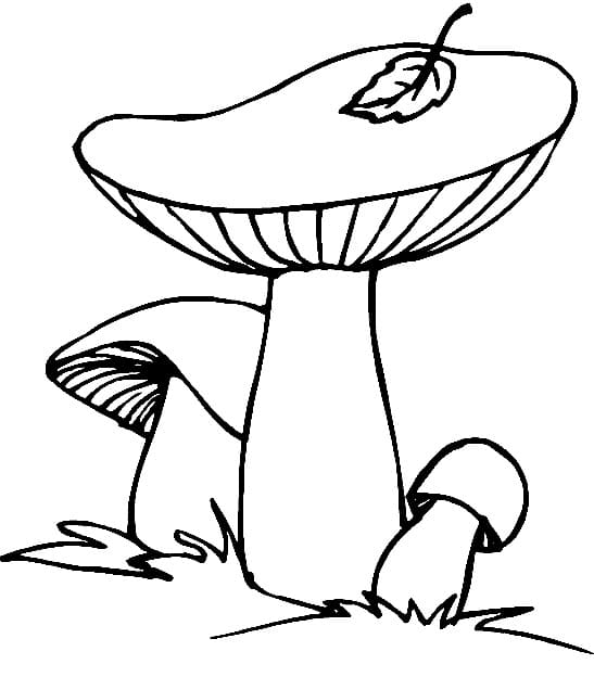 Omalovánka Světlé houby s barevnými kloboučky.