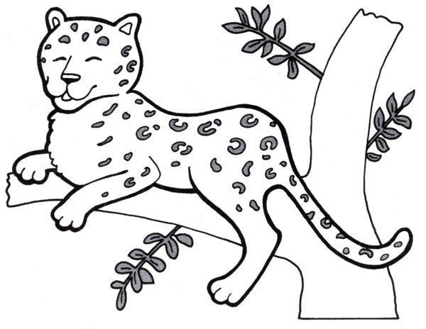 Tělo geparda má aerodynamickou strukturu. omalovánka
