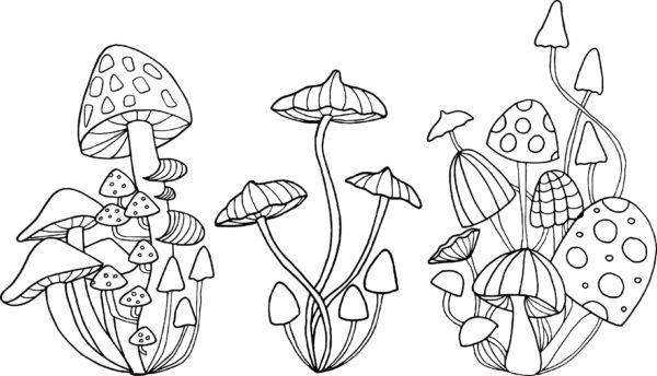Tři čeledi hub omalovánka