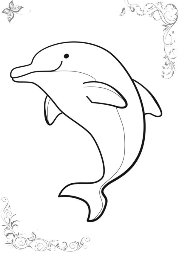 Usměvavý delfín omalovánka