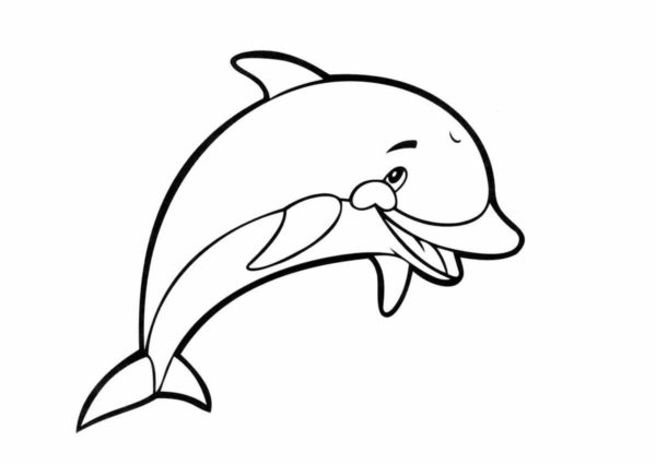 Usměvavý delfín. omalovánka