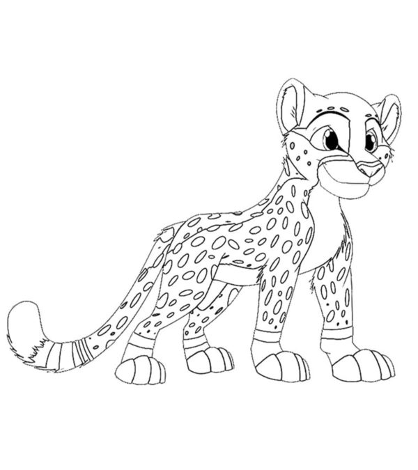 Vtipné a roztomilé mládě geparda. omalovánka