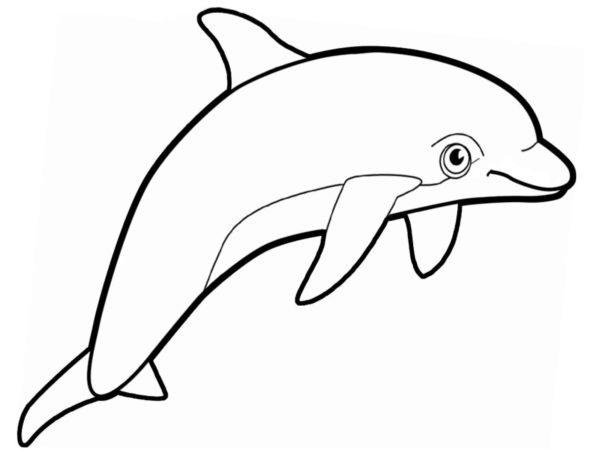 Vybarvi delfína. omalovánka