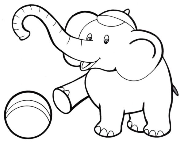 Výcvik slonů omalovánka