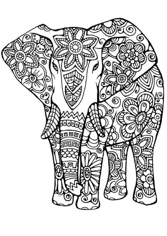 Vzory květin zdobí slona omalovánka