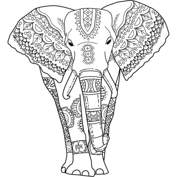 Vzory zdobí tělo slona. omalovánka