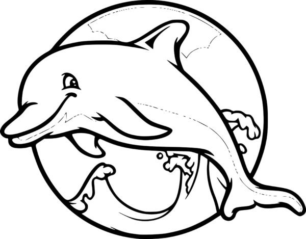 Živý delfín. omalovánka