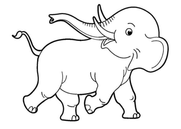 Sloni omalovánky