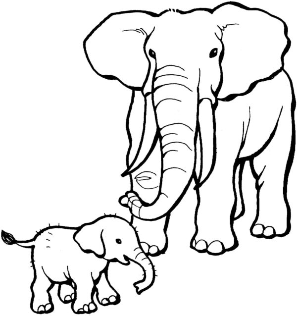 starostlivý slon a dítě omalovánka