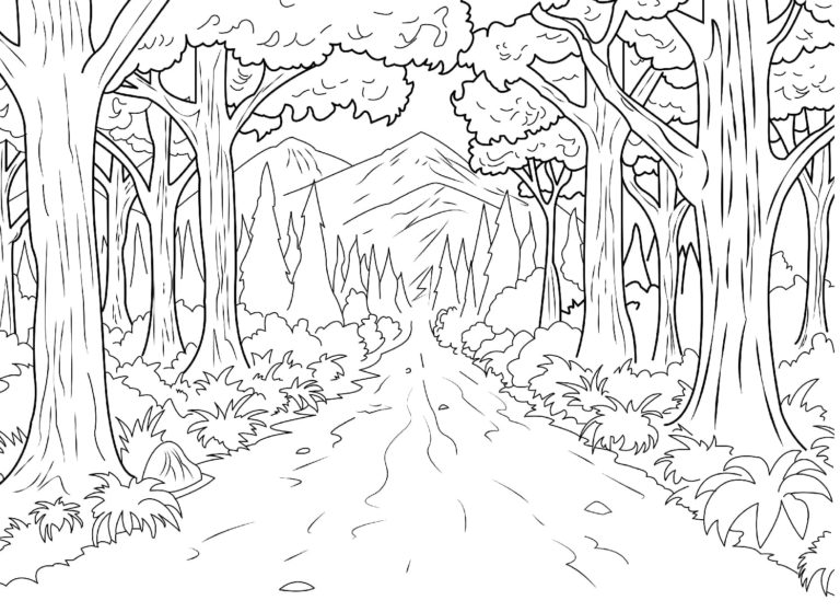 Cesta lesem omalovánka