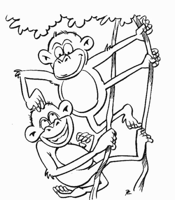 Dvě legrační opice se baví na větvích omalovánka