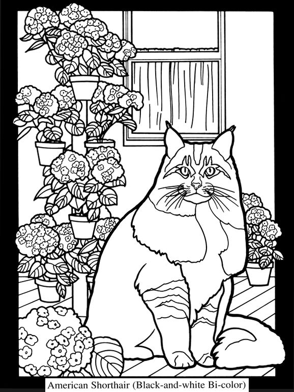 Omalovánka Elegantní kočka na pozadí květin