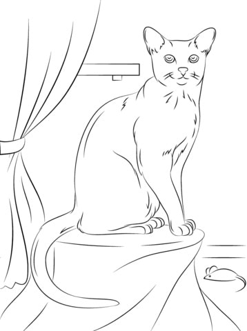 Elegantní kočka u okna omalovánka
