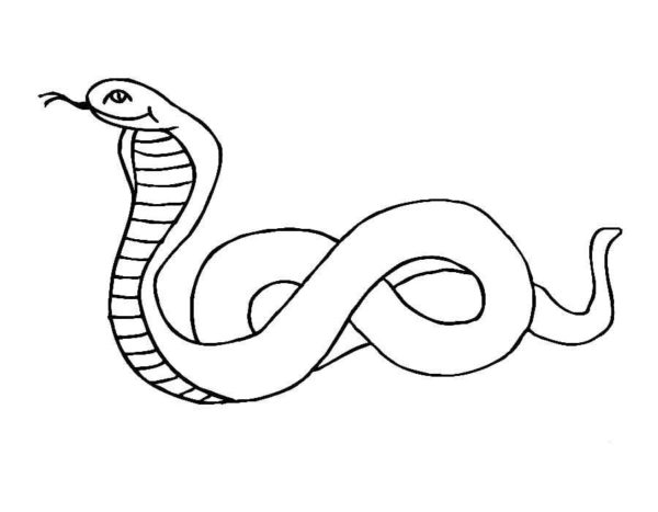 Had stočený do klubíčka na znamení nekonečna omalovánka