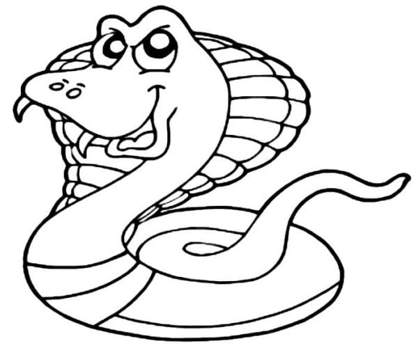 Hadí jed je produkován speciálními žlázami. omalovánka