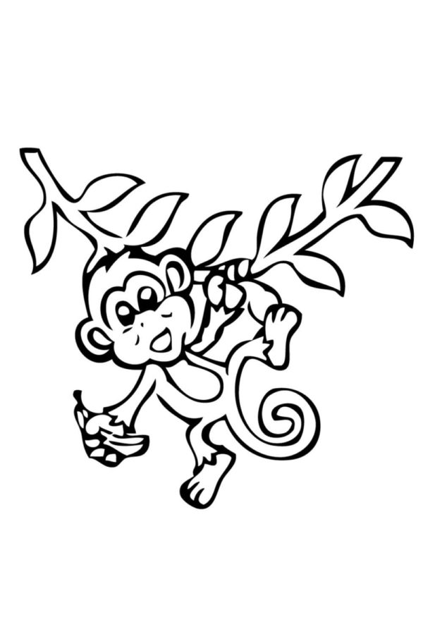 Hravá opice visela na liáně omalovánka