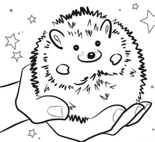 Omalovánka Je tak kouzelné držet ježka v rukou.