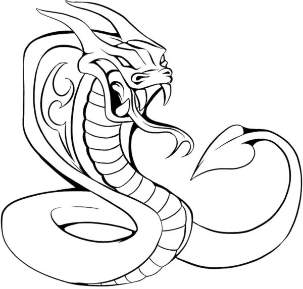 Je to had nebo drak omalovánka