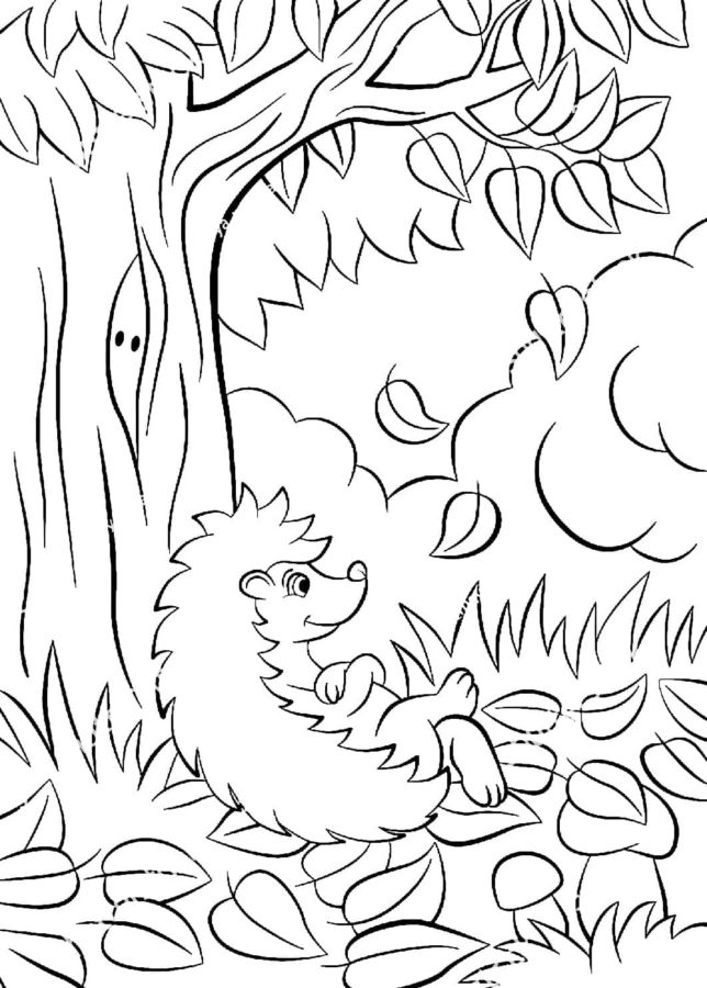 Ježek pod lesním stromem omalovánka