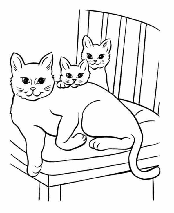 Kočka se dvěma koťaty omalovánka