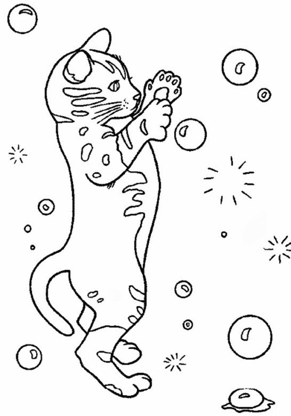 Kočka si hraje s bublinami omalovánka