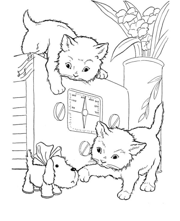Koťata si hrají s hračkou štěněte omalovánka