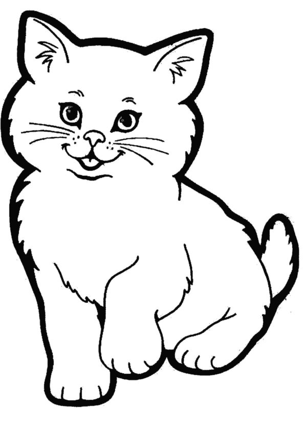 Krásná kočka, jednoduchá skica omalovánka
