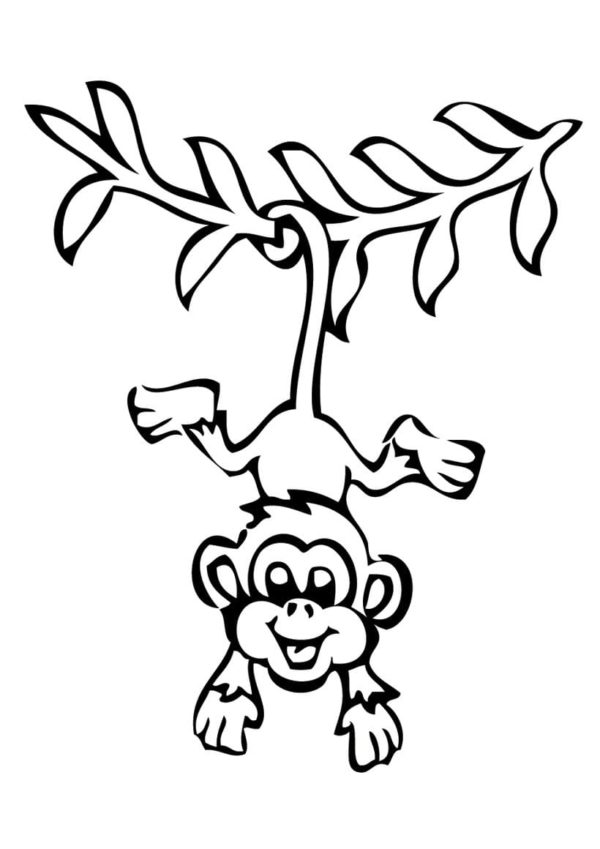 Legrační opice chycená na větvi s ocasem omalovánka