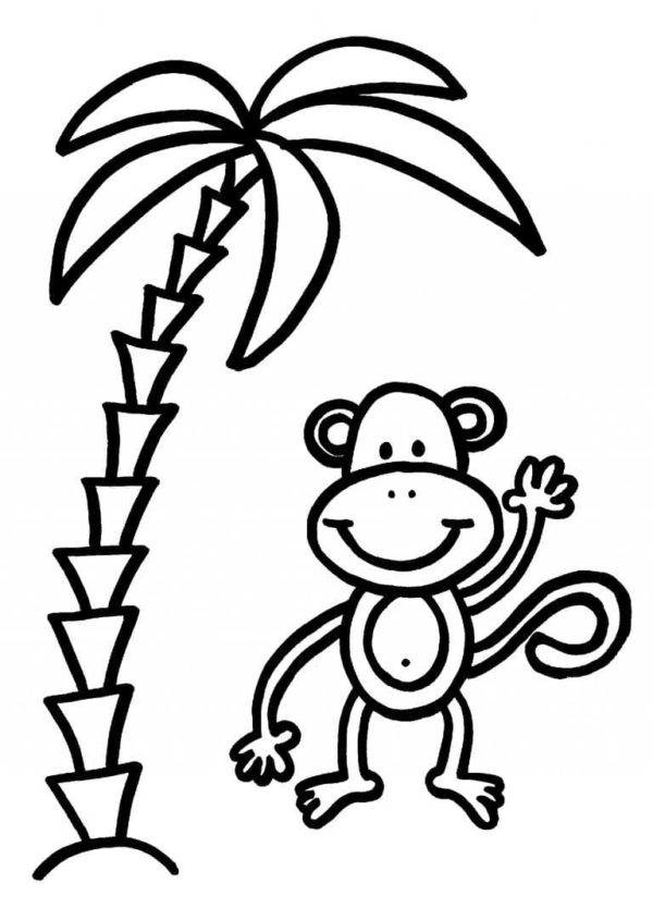 Legrační opice našla palmu omalovánka