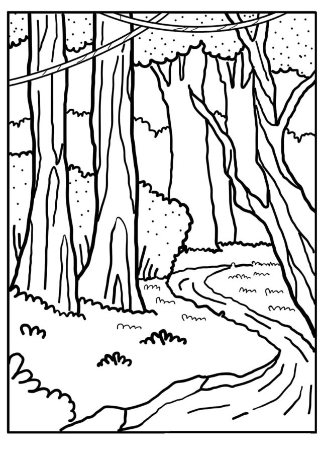 Malá řeka v lese. omalovánka