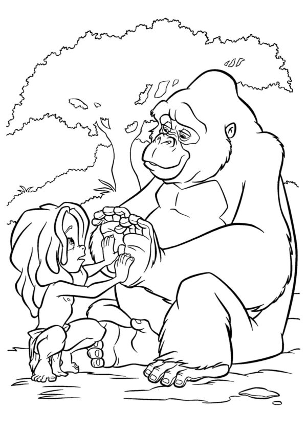Maličký Tarzan s gorilou omalovánka