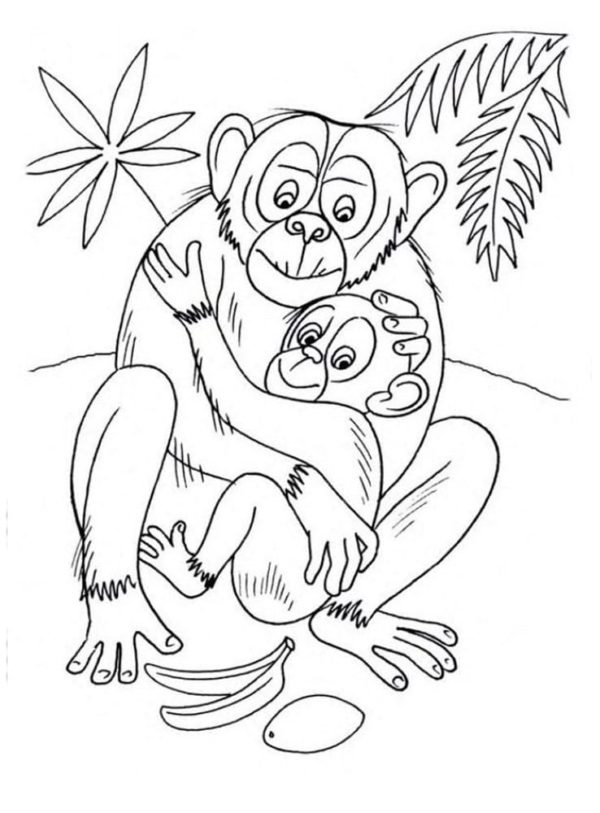 Máma opice s dítětem omalovánka