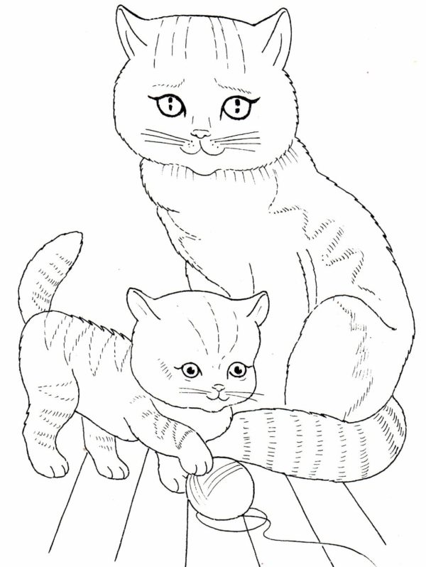Omalovánka Matka kočka se svým malým kotětem