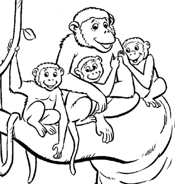 Matka mnoha dětí je opice omalovánka