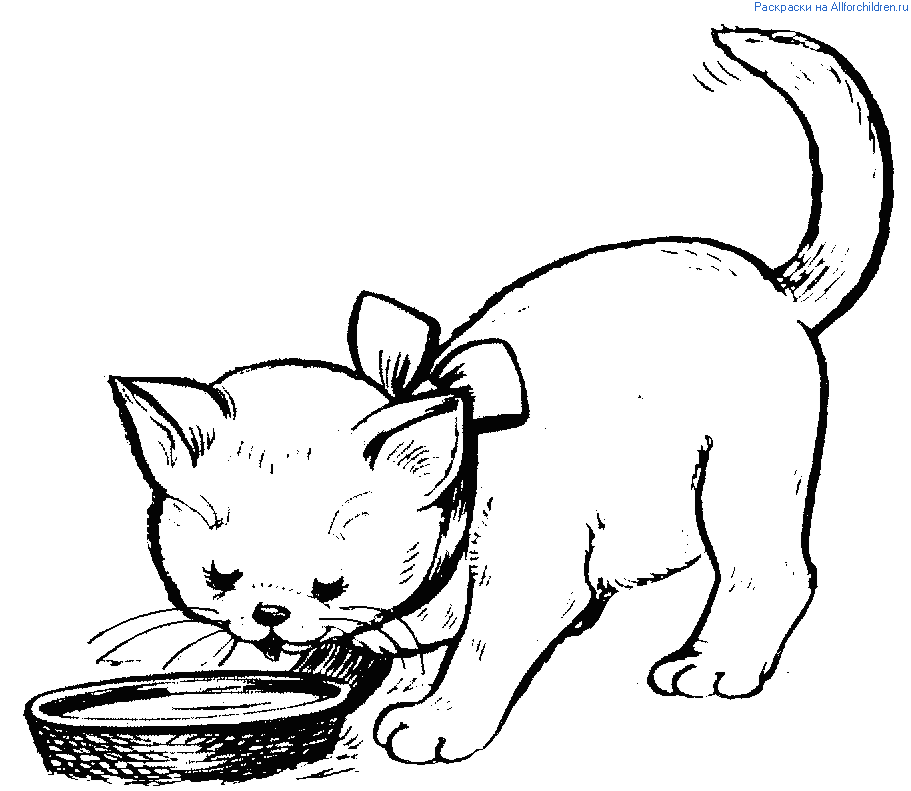 Omalovánka Miska mléka pro kočku s mašlí