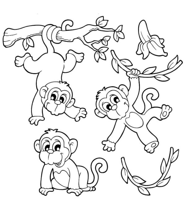 Mláďata opic dovádějí na stromech omalovánka