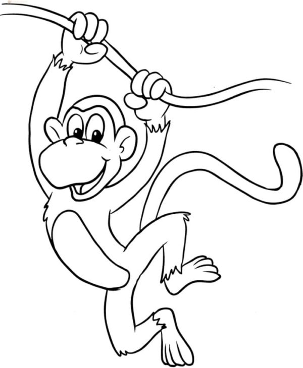 Na liáně visela zlomyslná opice omalovánka