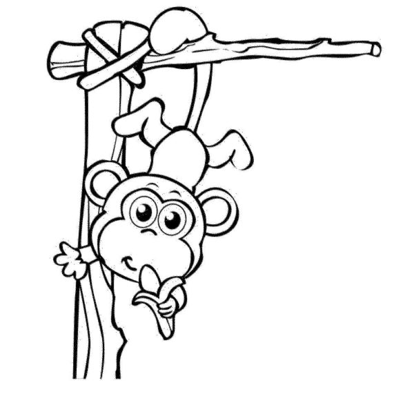 Na větvi visela opice s banánem omalovánka