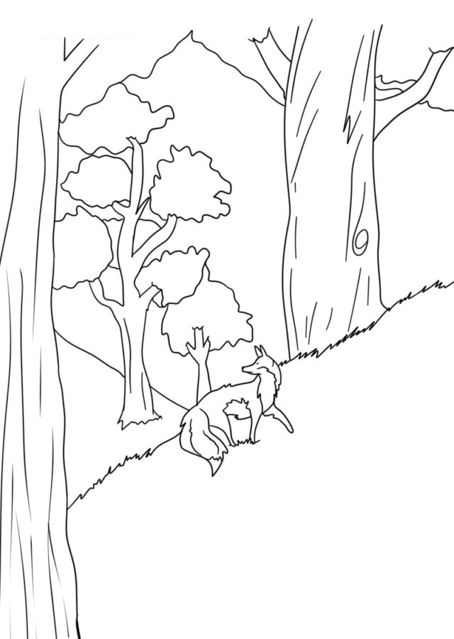 Obrázek pro vybarvení Lišky v lese omalovánka