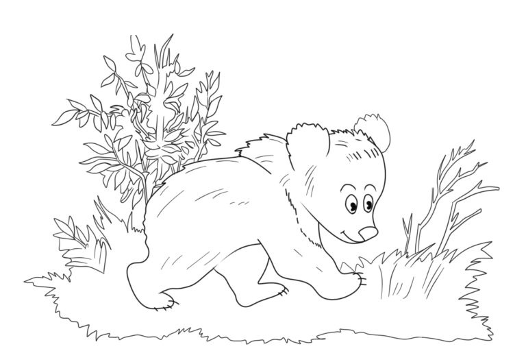 Omalovánka Roztomilý medvěd chodí v lese. omalovánka