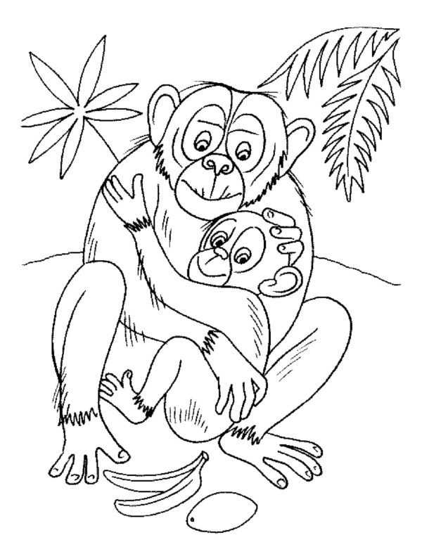 Opičí máma chrání své dítě omalovánka