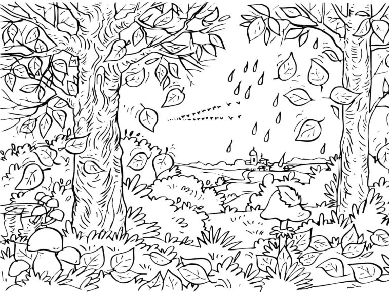 Podzimní les. omalovánka