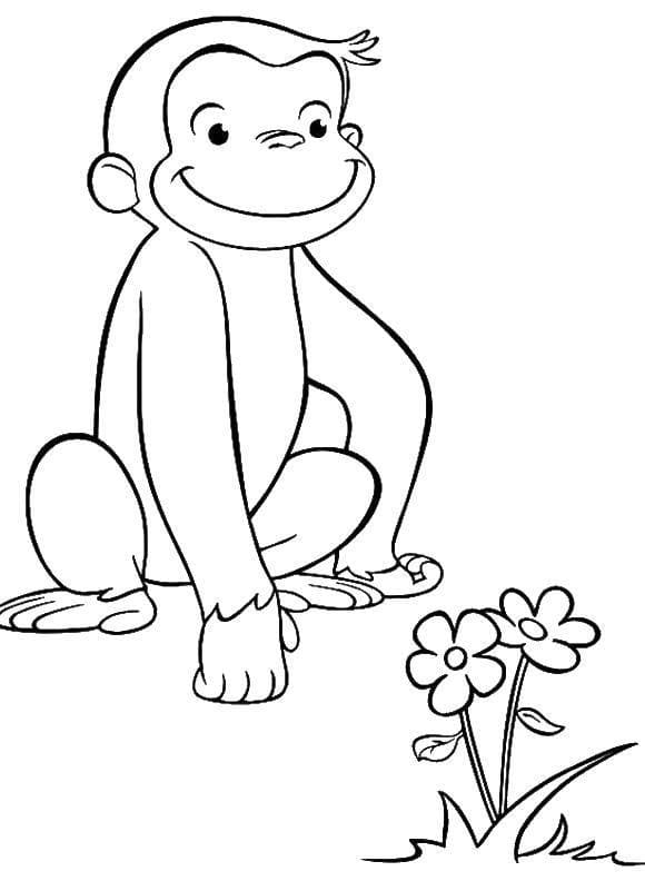 Rozkošná opice našla květiny omalovánka